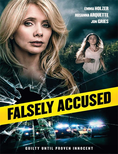 Poster de Falsely Accused