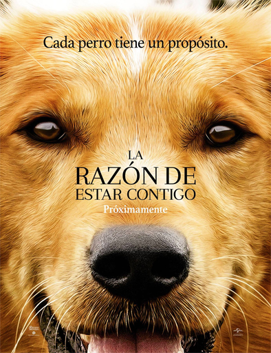 Poster de A Dog's Purpose (La razón de estar contigo)