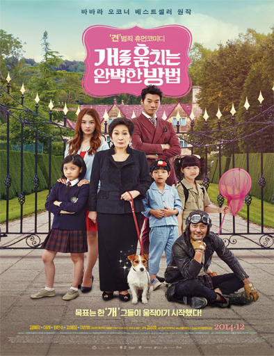 Poster de How to Steal a Dog