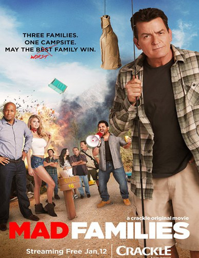 Poster de Mad Families