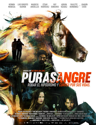Poster de Purasangre
