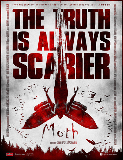 Poster de Moth