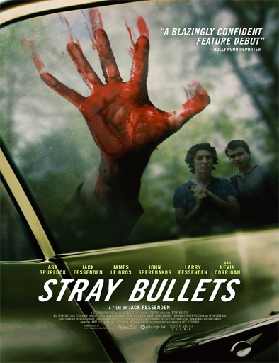 Poster de Stray Bullets