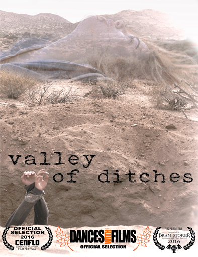 Poster de Valley of Ditches