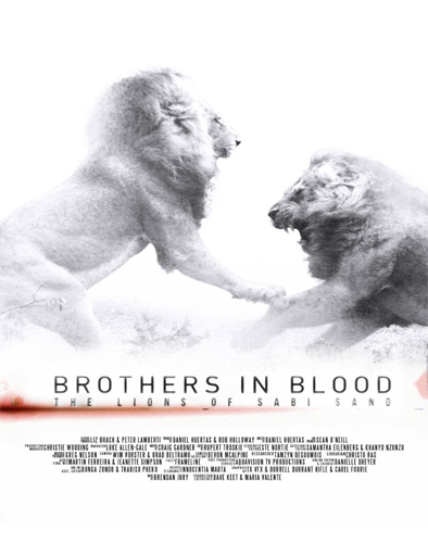 Poster de Brothers in Blood: The Lions of Sabi Sand (El rey de la manada)