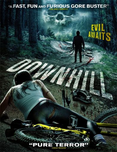 Poster de Downhill