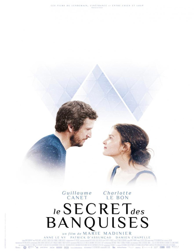 Poster de Le secret des banquises (El secreto del hielo)