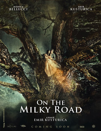 Poster de On the Milky Road (En la Vía Láctea)