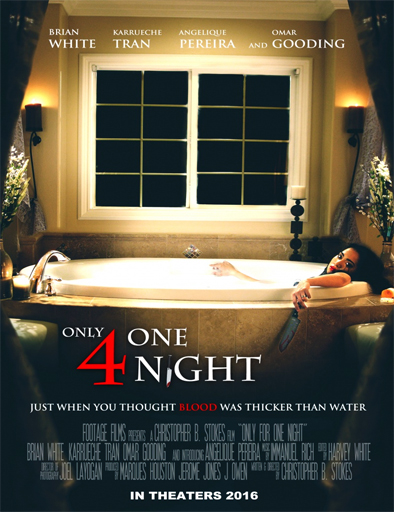 Poster de Only for One Night