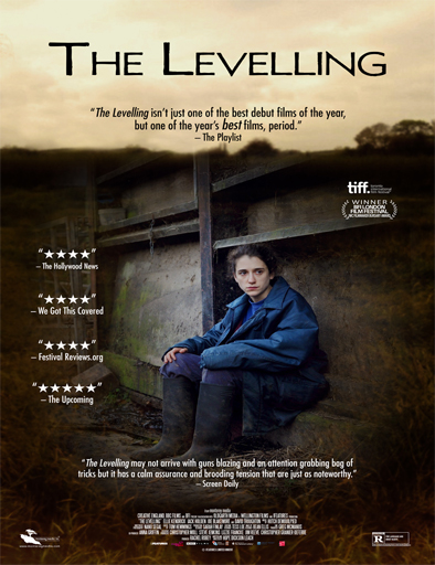 Poster de The Levelling