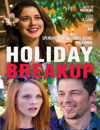 Poster de Holiday Breakup