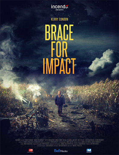 Poster de Brace for Impact (Vuelo 112: Misterio en el aire)