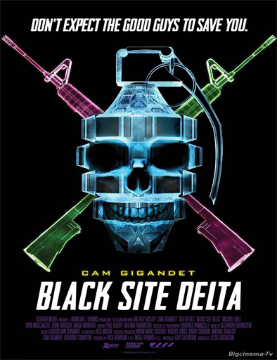 Poster de Black Site Delta
