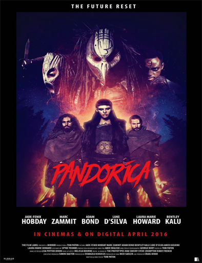 Poster de Pandorica