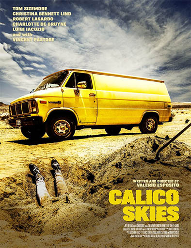 Poster de Calico Skies