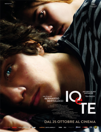 Poster de Io e te (Tú y yo)