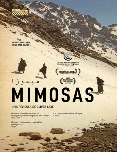 Poster de Mimosas