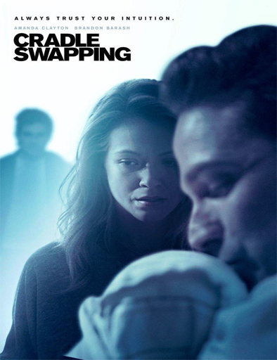 Poster de Cradle Swapping (Robada al nacer)