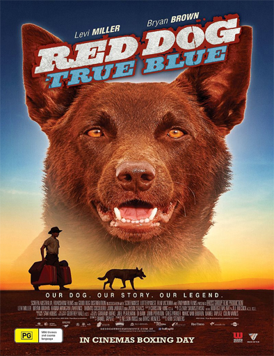 Poster de Red Dog: True Blue (Siempre estarás conmigo)
