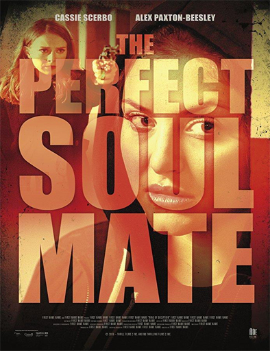 Poster de The Perfect Soulmate (Almas gemelas)