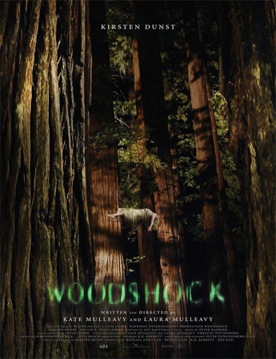 Poster de Woodshock