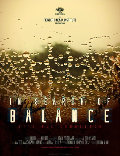 Poster de In Search of Balance