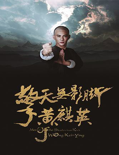 Poster de Master of Shadowless Kick - Wong Kei-Ying
