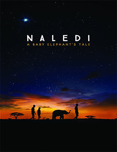 Poster de Naledi, una elefanta bebé