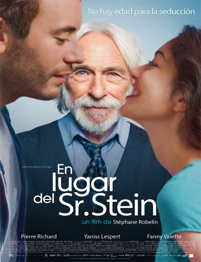 Poster de En lugar del Sr. Stein