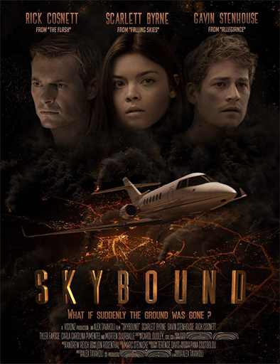 Poster de Skybound
