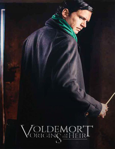Poster de Voldemort: Origins of the Heir