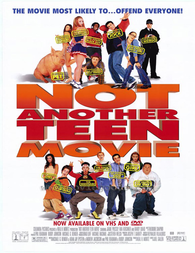 Poster de No es otra tonta película americana