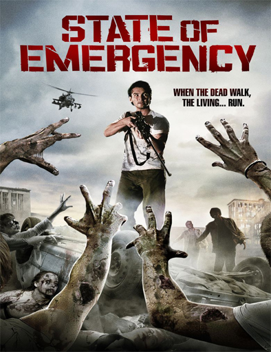 Poster de State of Emergency