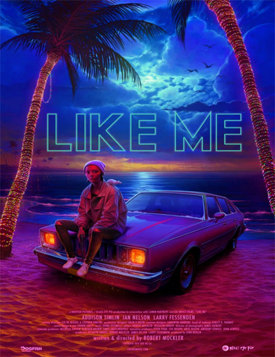 Poster de Like Me