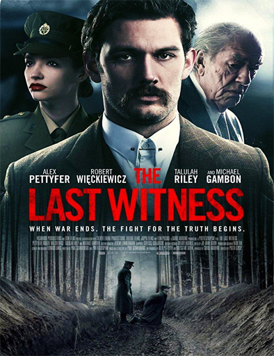 Poster de The Last Witness