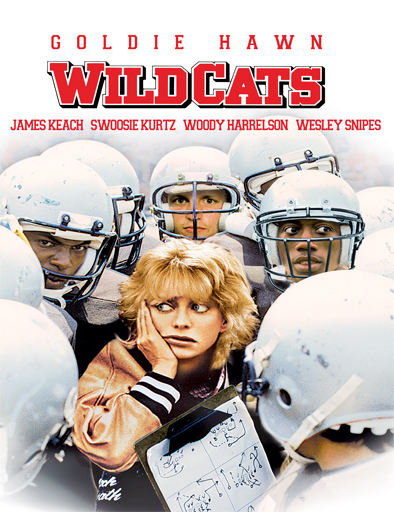 Poster de Wildcats (Échame la pelota, chica)