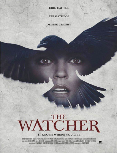 Poster de The Watcher (El misterio de la casa del cuervo)
