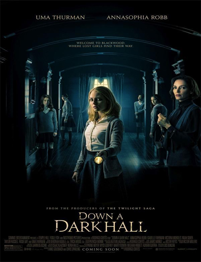 Poster de Down a Dark Hall