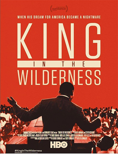 Poster de King in the Wilderness (La lucha pacífica de Martin Luther King)