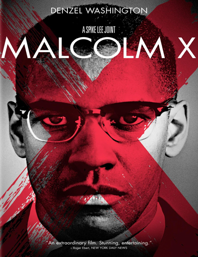 Poster de Malcolm X