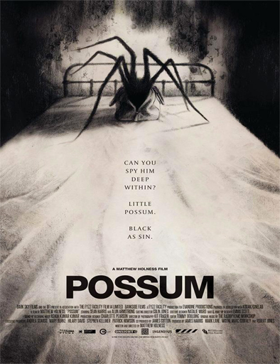 Poster de Possum