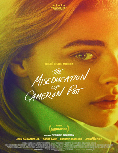 Poster de The Miseducation of Cameron Post
