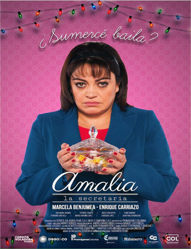 Poster de Amalia, la secretaria