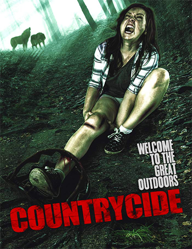 Poster de Countrycide
