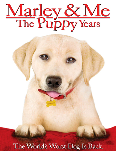 Poster de Marley and Me: The Puppy Years (Marley y yo 2)