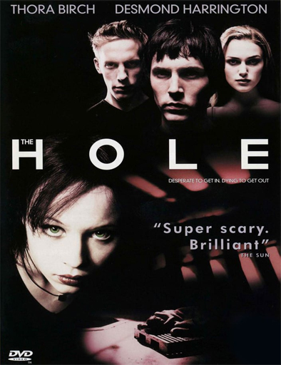 Poster de The hole (En lo profundo)