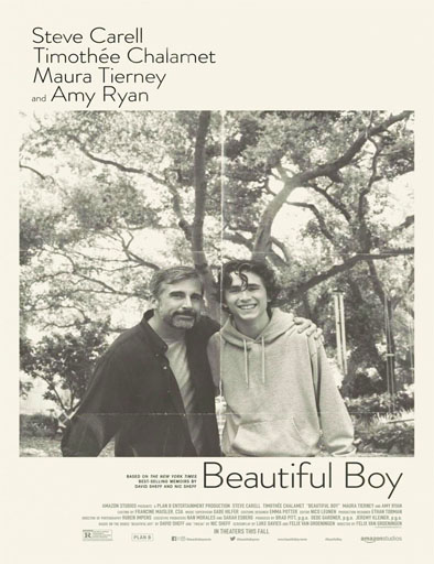 Poster de Beautiful Boy: Siempre serás mi hijo