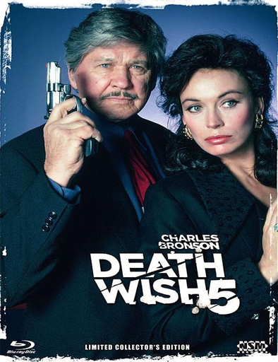 Poster de Death Wish 5 (El vengador anónimo 5)