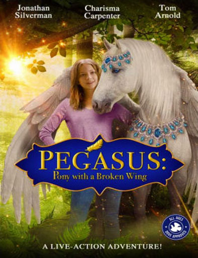 Poster de Pegasus: Pony with a Broken Wing