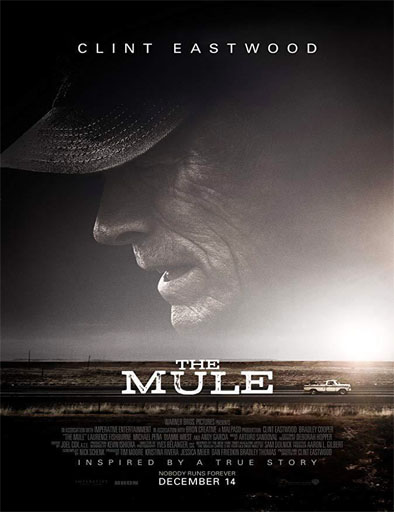 Poster de The Mule (La mula)